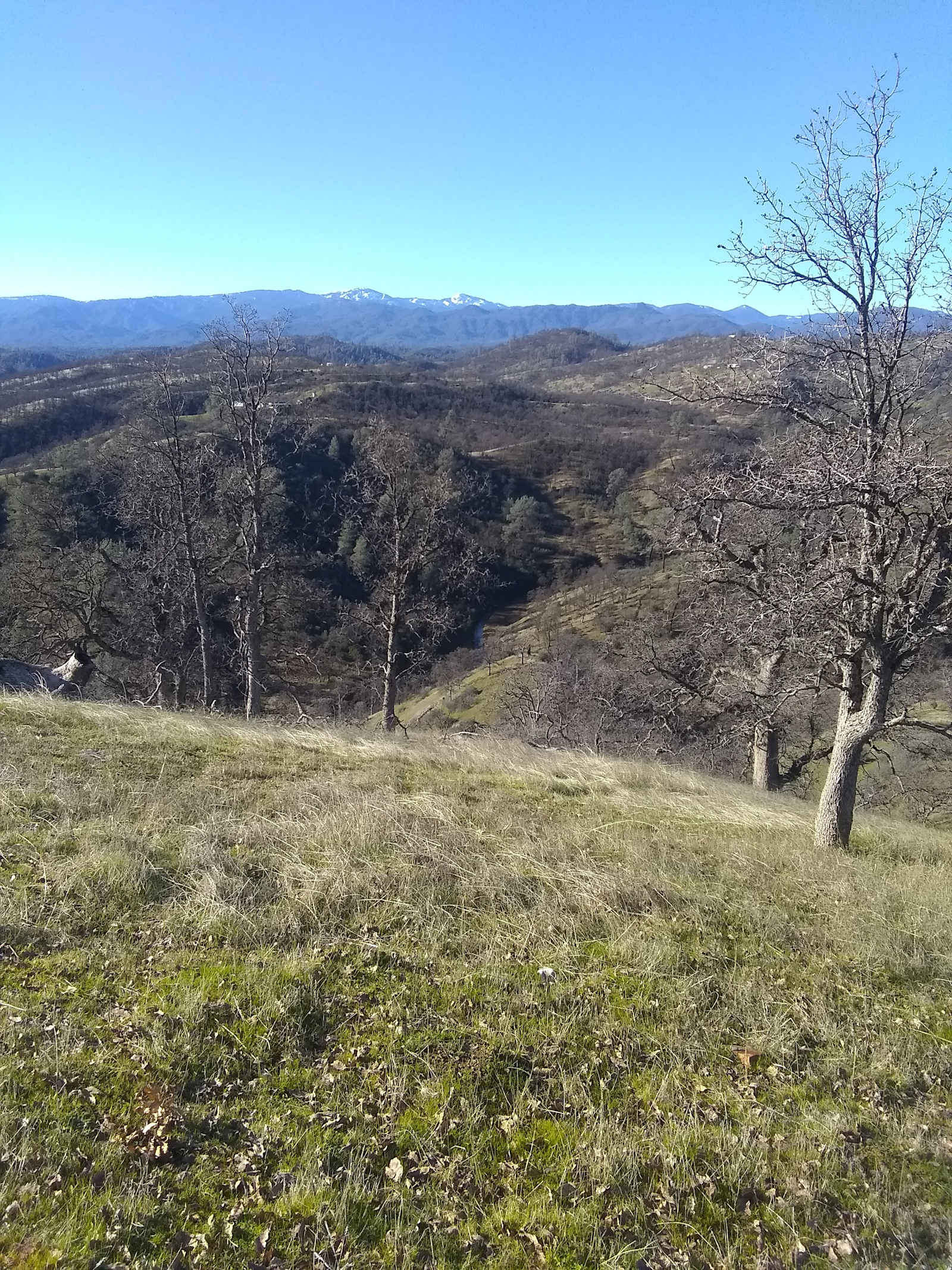 CAMP GADSON GARDEN - Shasta, California - glamping.directory