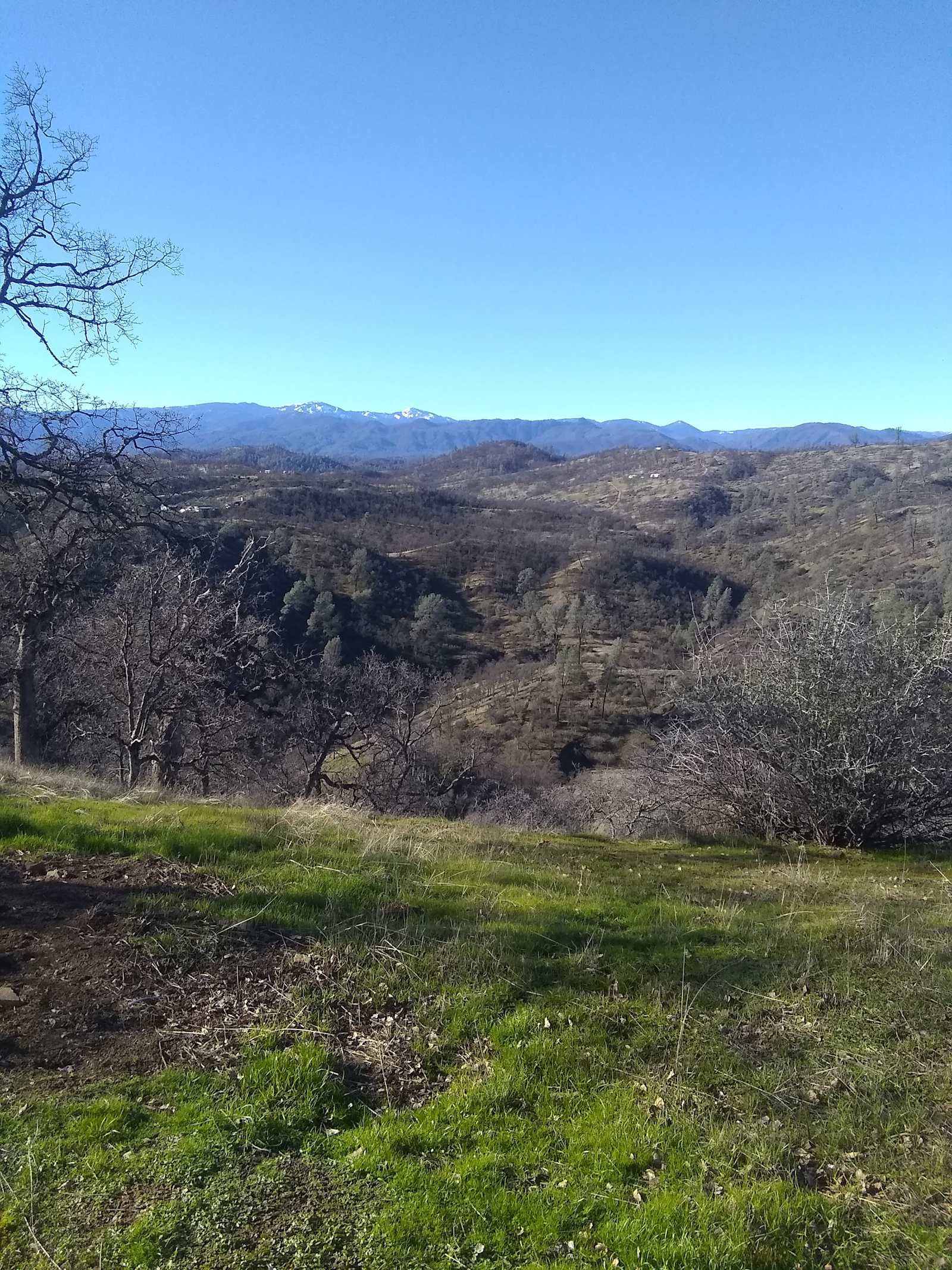 CAMP GADSON GARDEN - Shasta, California - glamping.directory