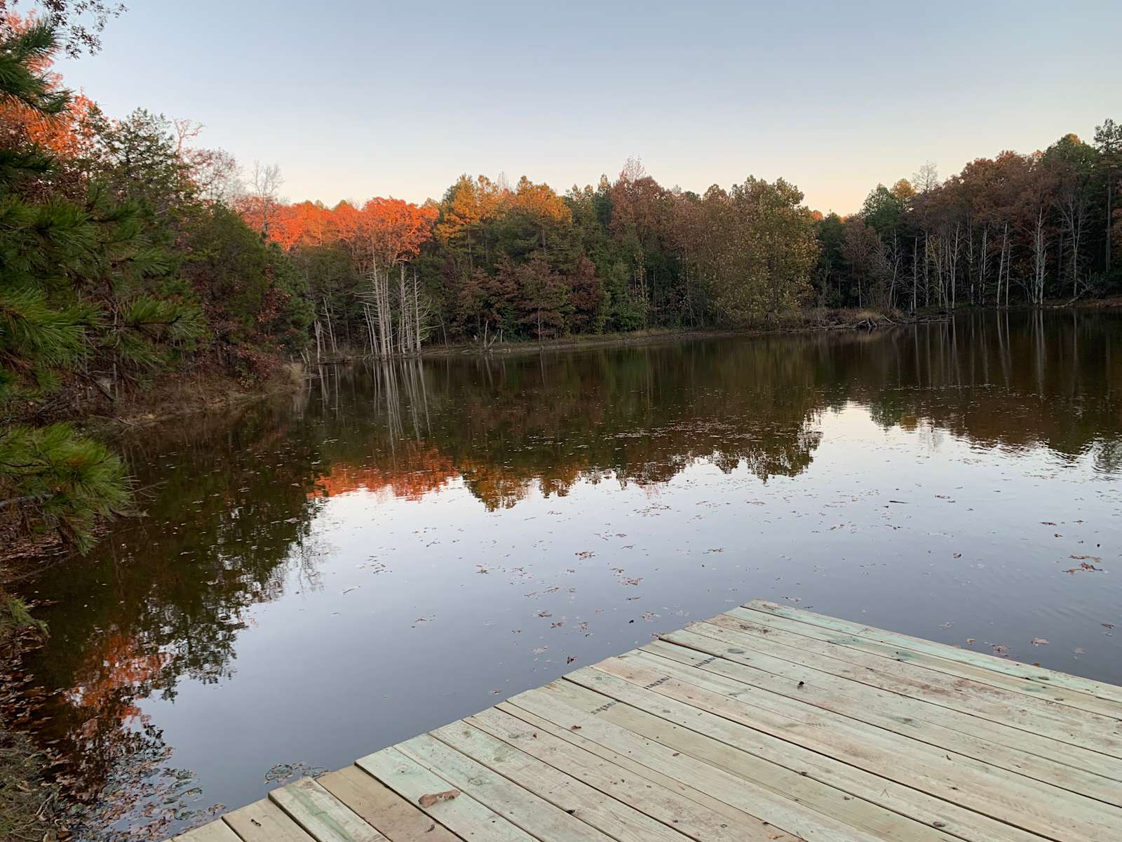 White Oak Mountain Campground - Hector, Arkansas - glamping.directory