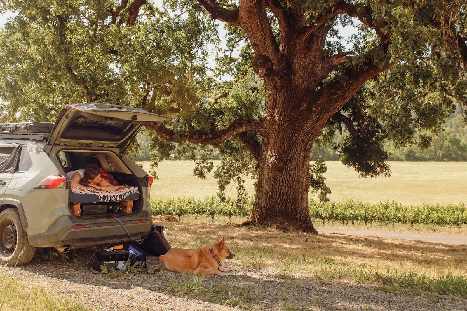 Nelson Family Vineyards - glamping.directory