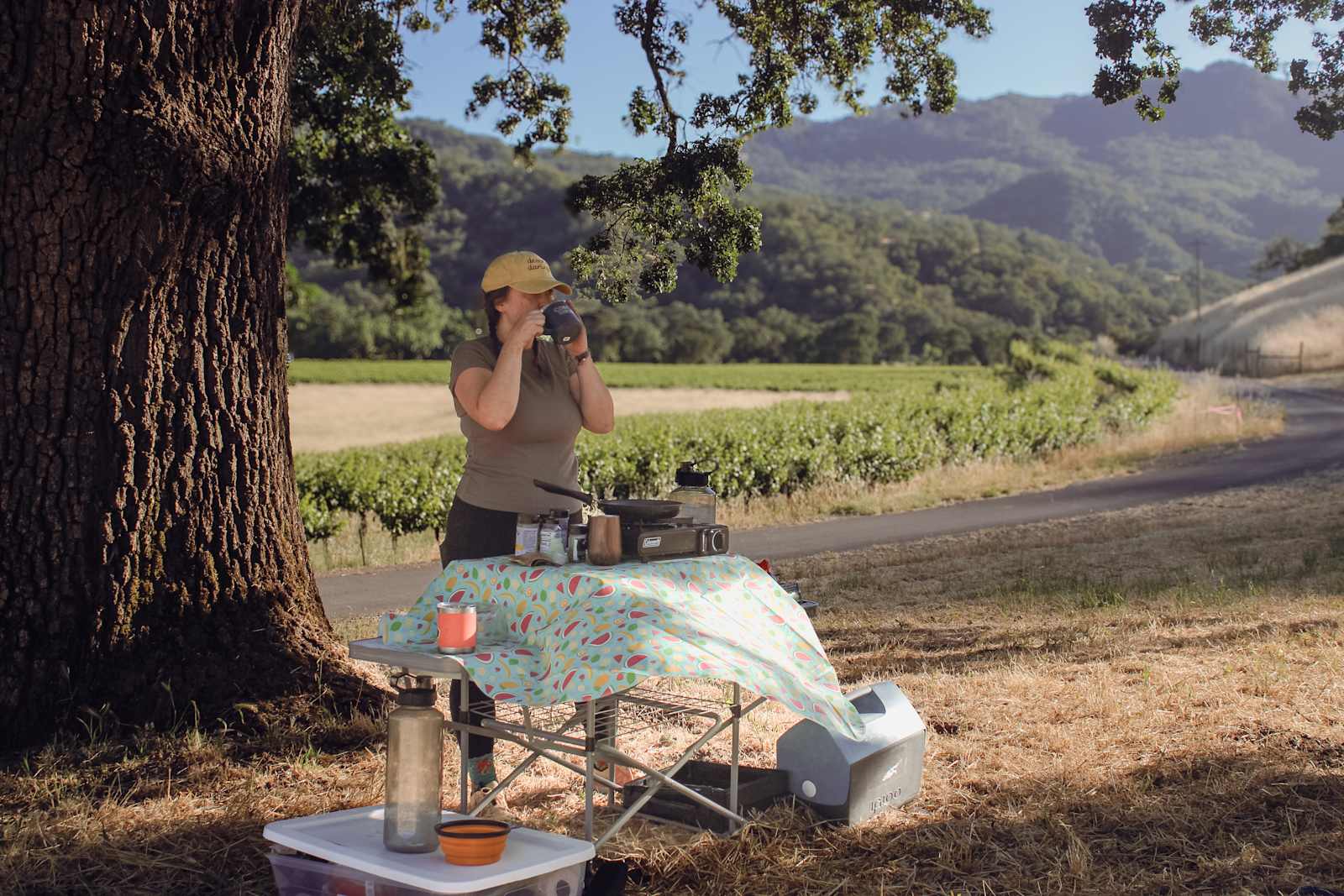 Nelson Family Vineyards - Ukiah, California - glamping.directory