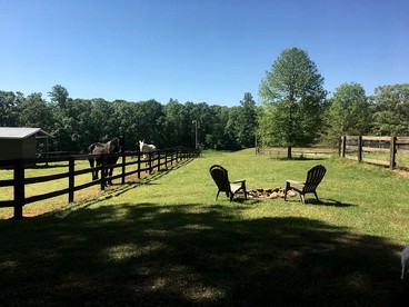 Vintage Georgia Airstream Nestled in the Pines - Hartwell, Georgia - glamping.directory