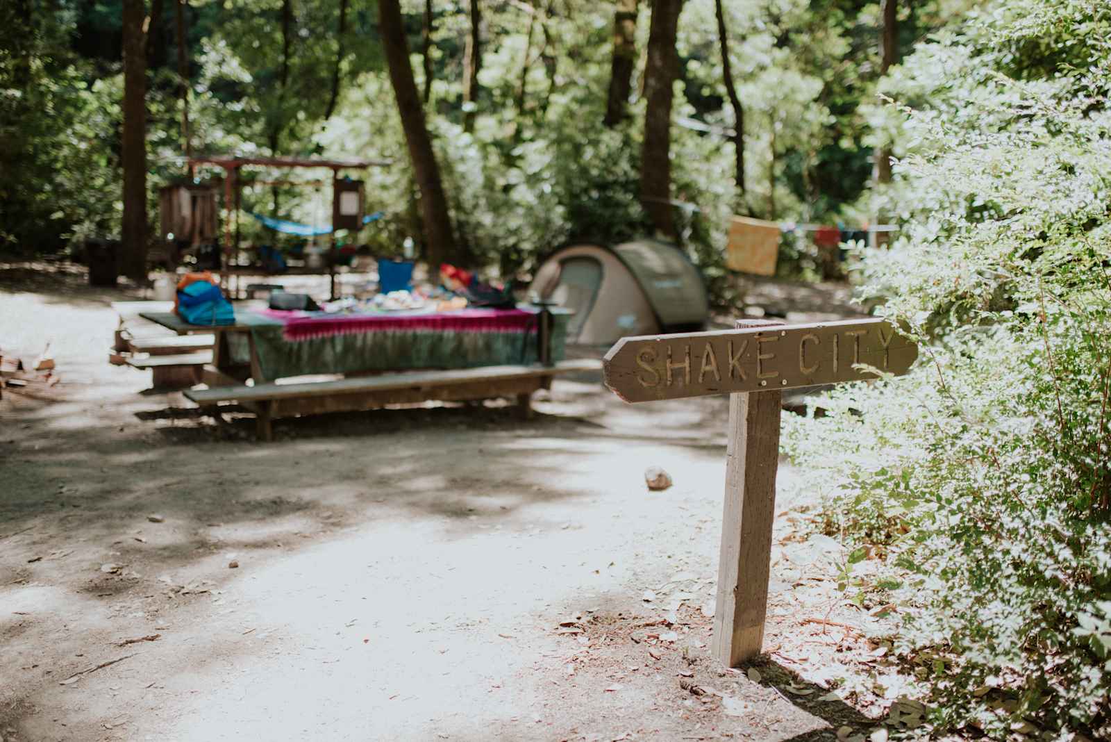 Camp Noyo - Willits, California - glamping.directory
