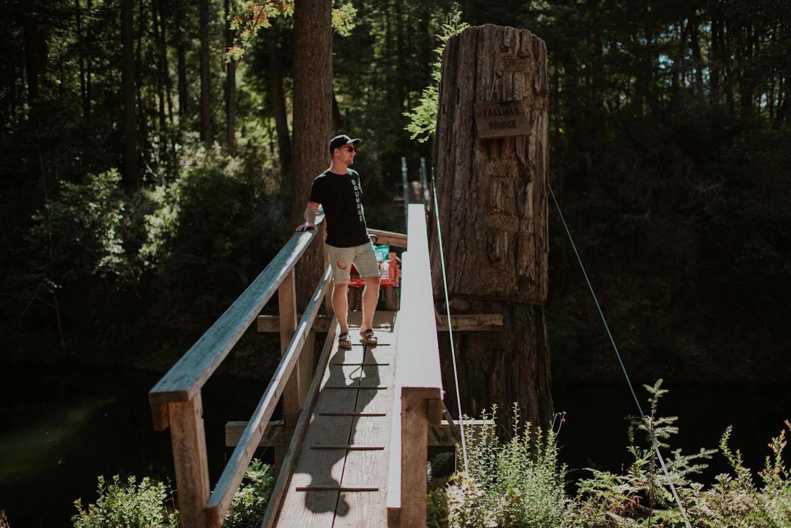 Camp Noyo - Willits, California - glamping.directory
