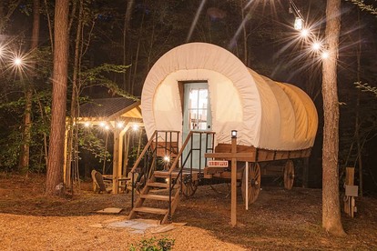 Wonderful Wagon Rental with Fire Pit Surrounded by Nature in Tennessee - glamping.directory