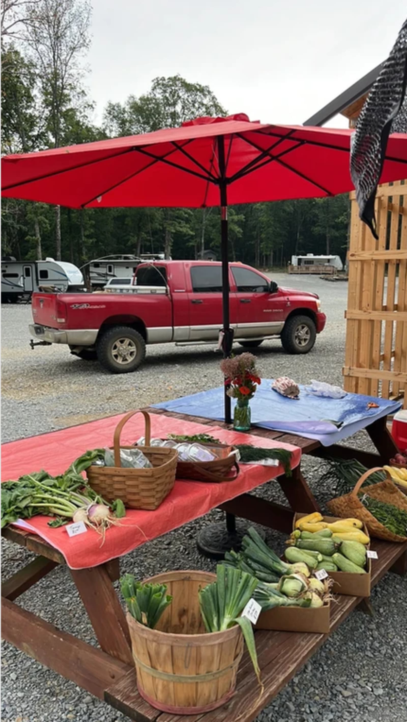 Mt Olive Mercantile & RV Park - Melbourne, Arkansas - glamping.directory