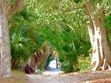 Serene Island Cottage with Screened Porch near Little Gasparilla Beach, Florida - Placida, Florida - glamping.directory