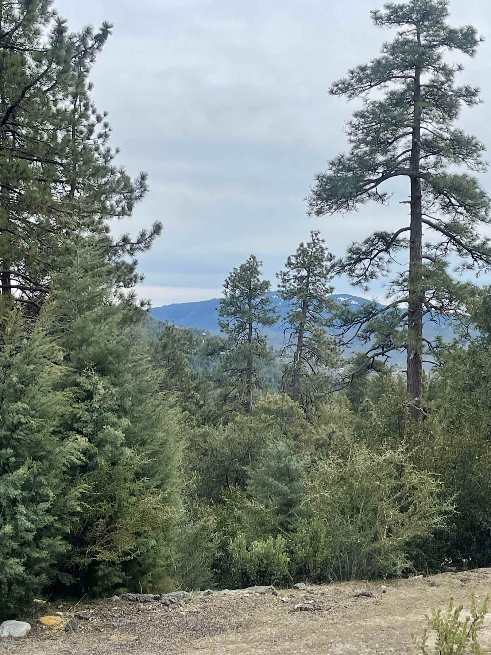 Diamonds Ranch - Idyllwild, California - glamping.directory