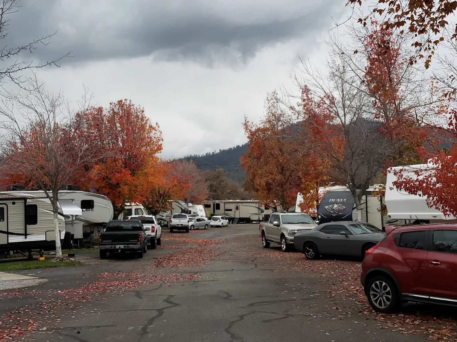 Mountain Gate RV Park - Redding, California - glamping.directory
