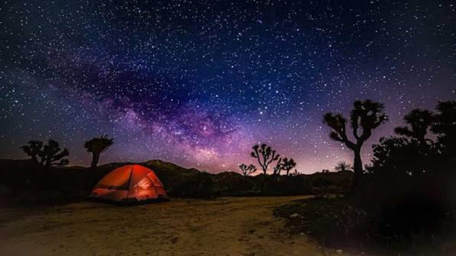 Llano Desert Heaven π΅ - Garden Grove, California - glamping.directory