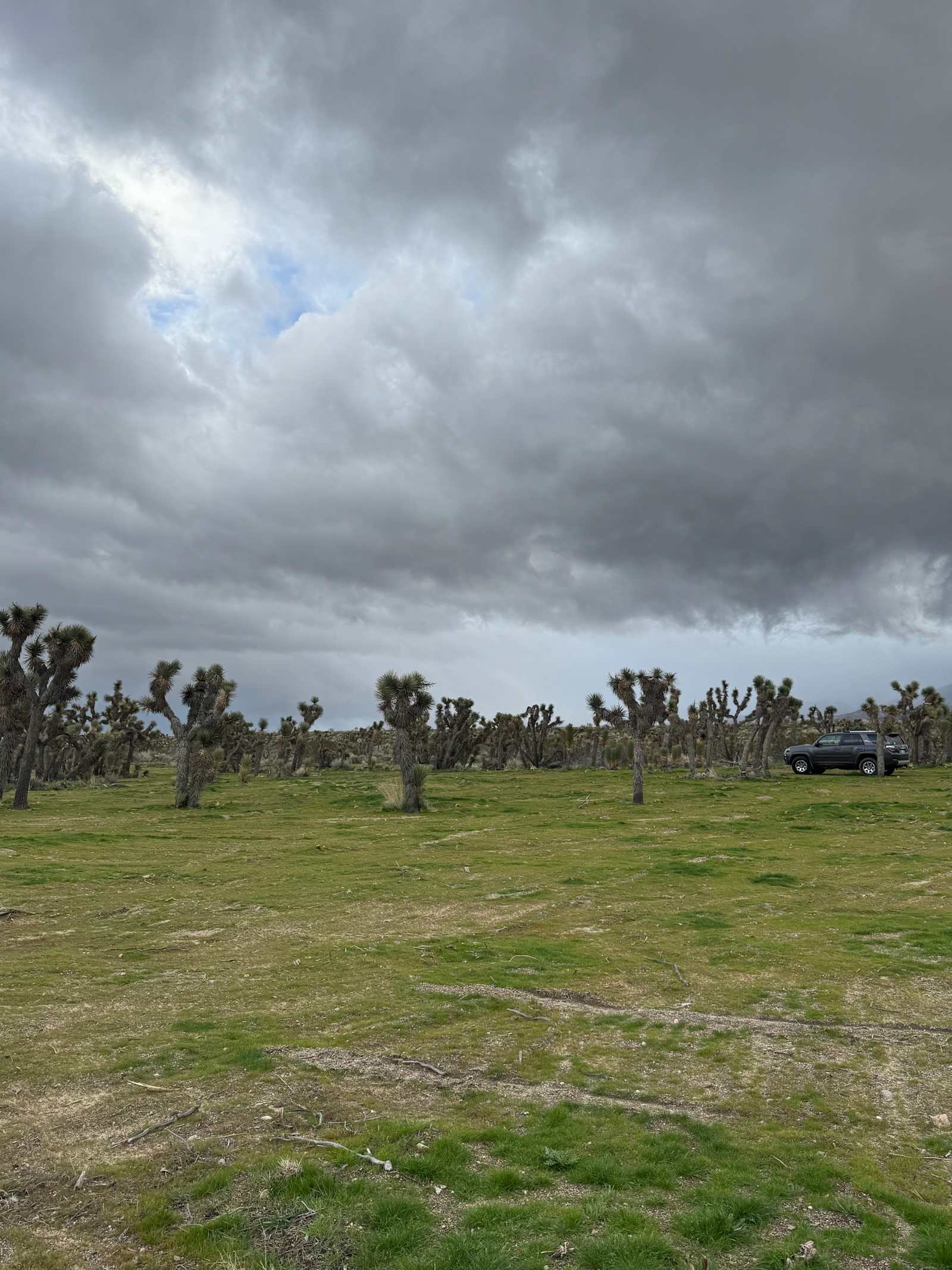 Llano Desert Heaven π΅ - Garden Grove, California - glamping.directory