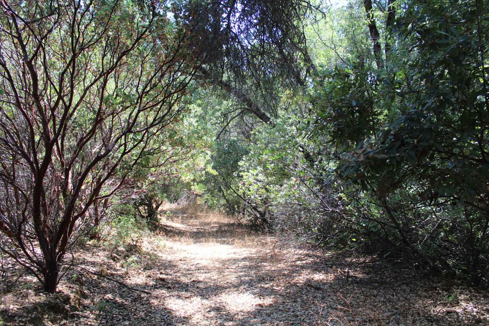 Sweet Water Ranch - Columbia, California - glamping.directory