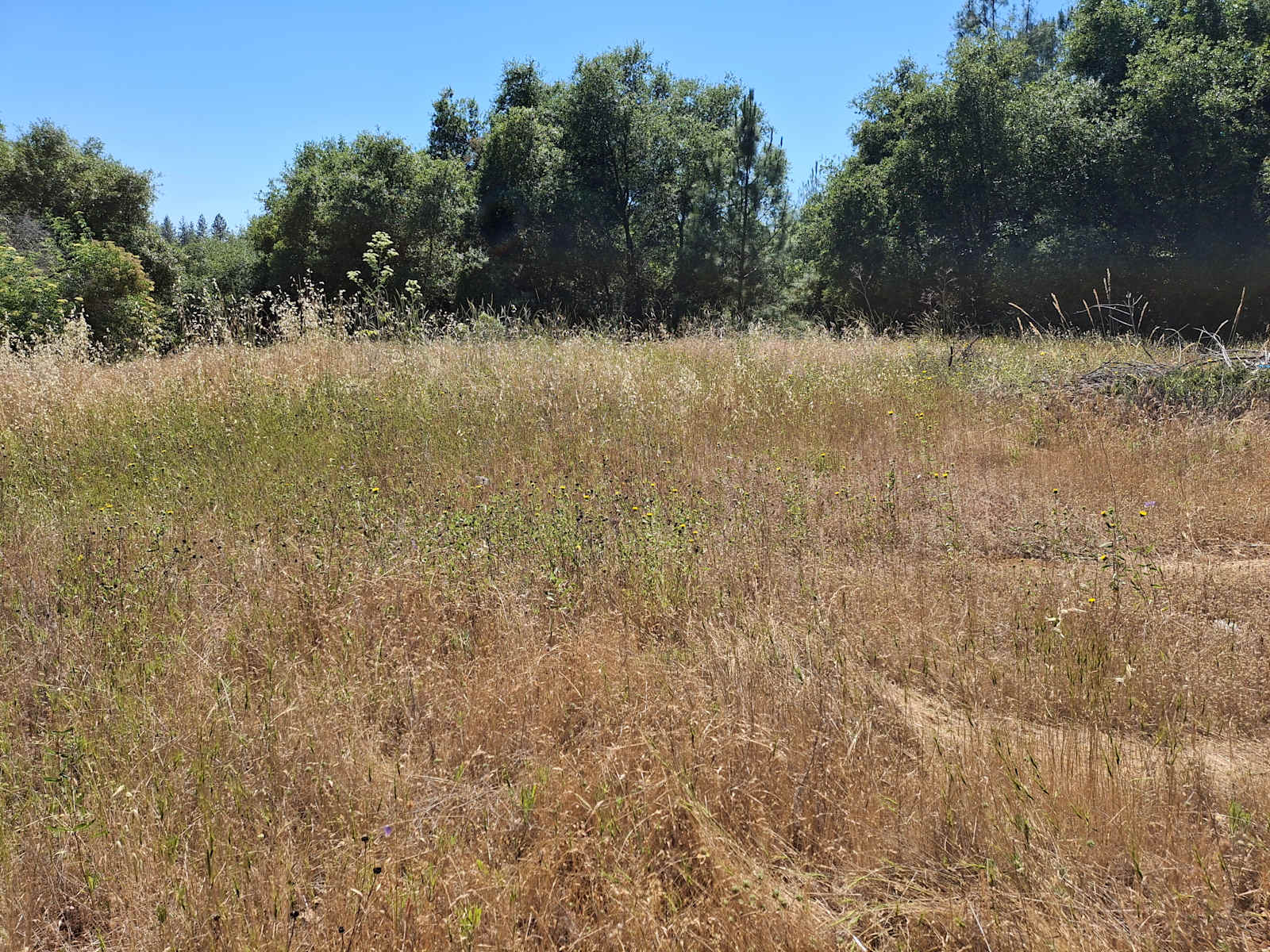 Sweet Water Ranch - Columbia, California - glamping.directory