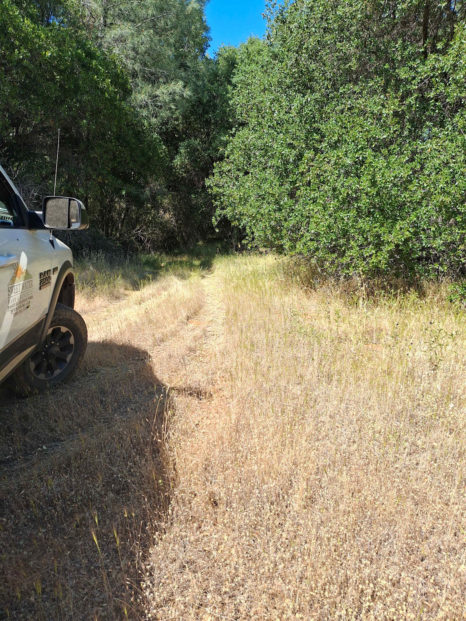 Sweet Water Ranch - Columbia, California - glamping.directory
