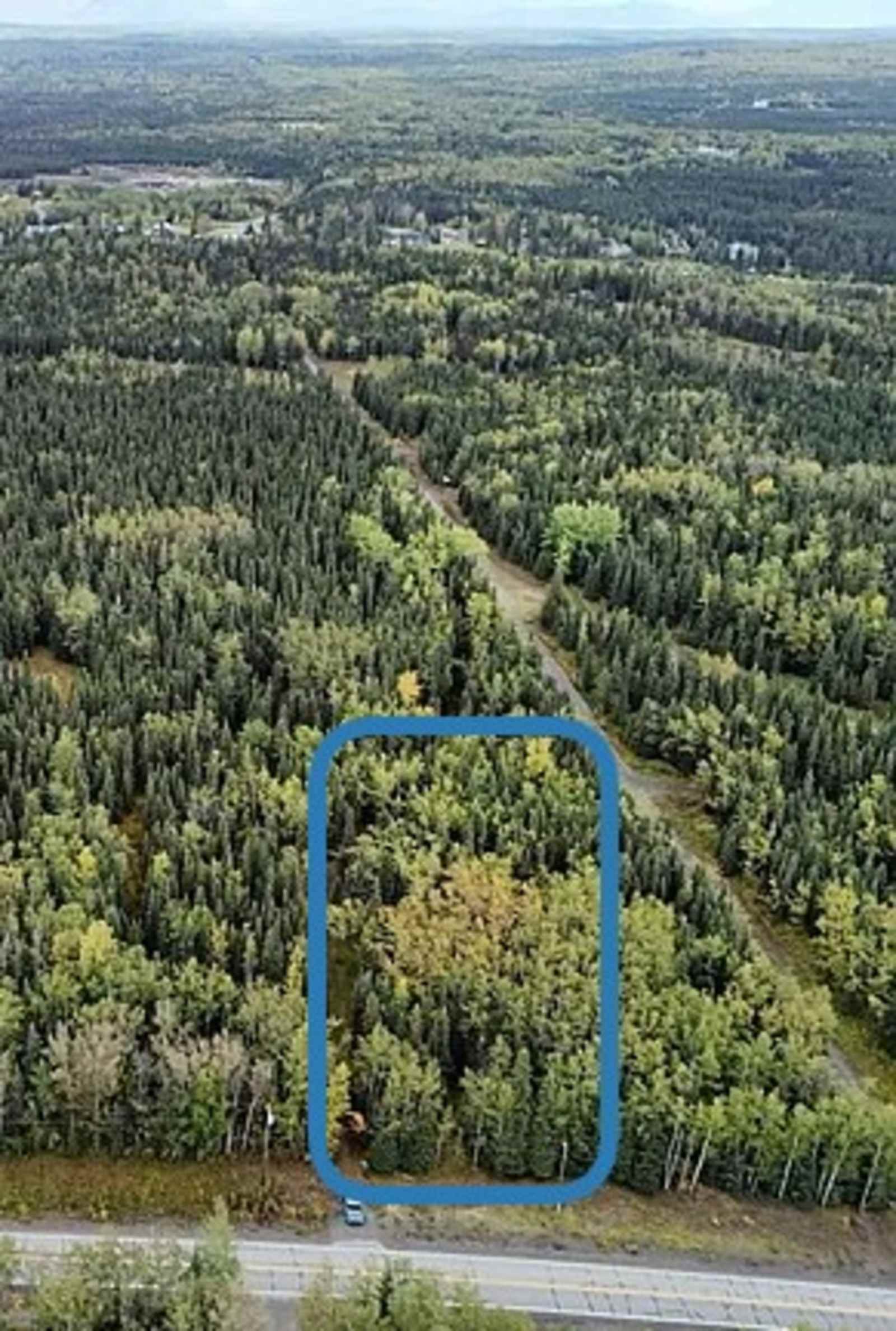 Mossy Forest Camp - Sterling, Alaska - glamping.directory