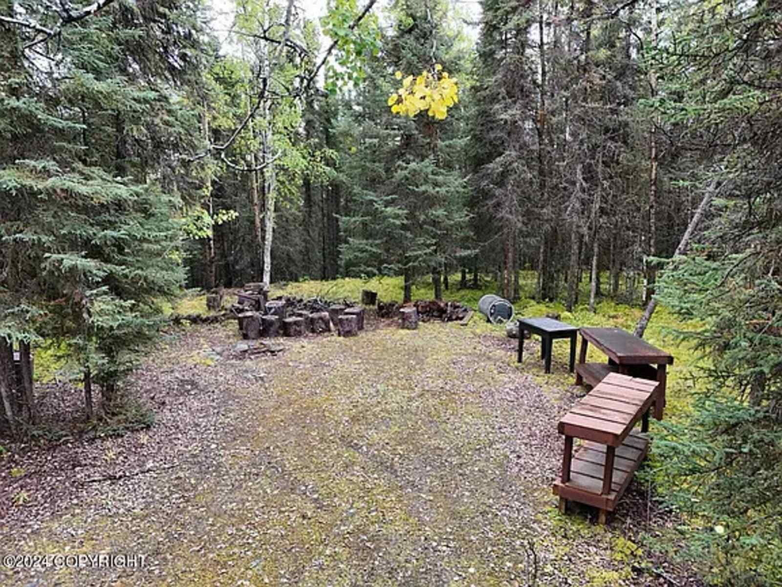 Mossy Forest Camp - glamping.directory