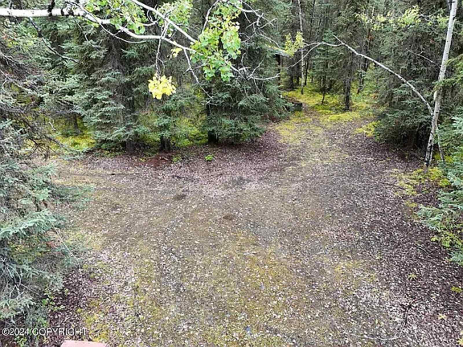 Mossy Forest Camp - Sterling, Alaska - glamping.directory