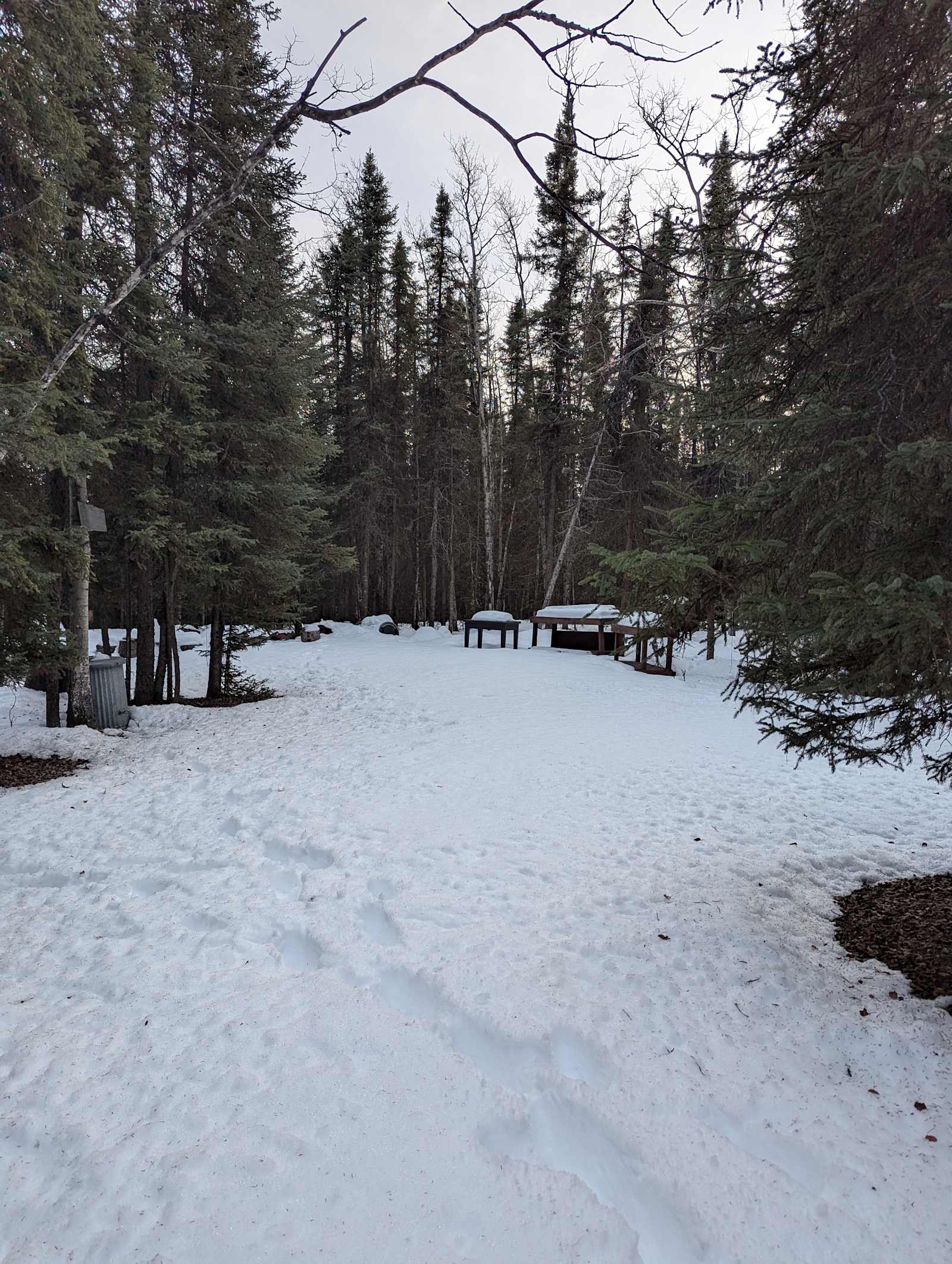Mossy Forest Camp - Sterling, Alaska - glamping.directory