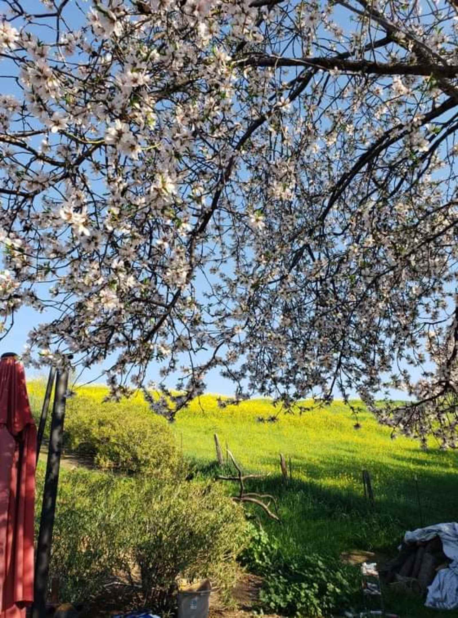 Bandits Backyard Lounge - Pittsburg, California - glamping.directory