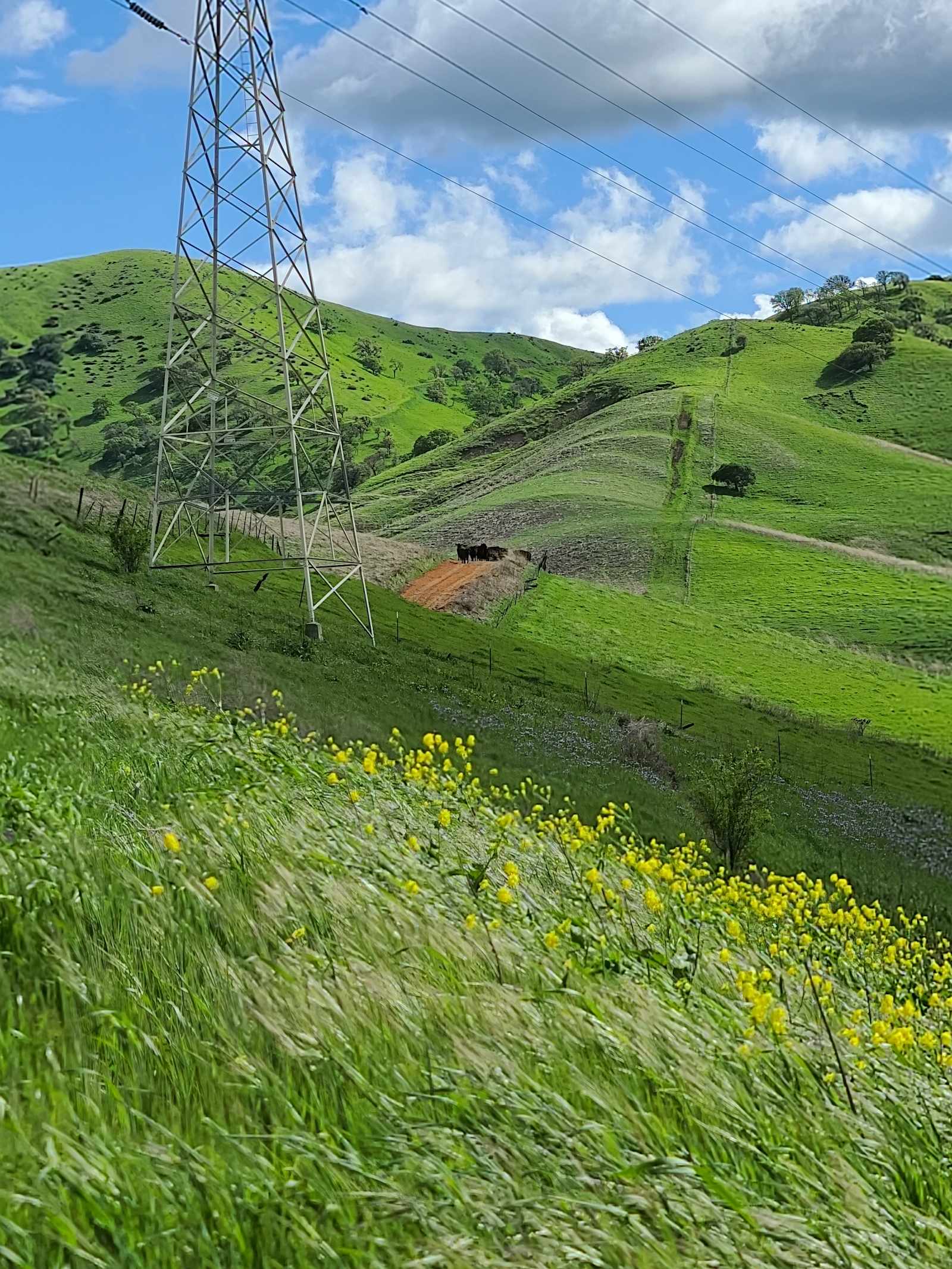 Bandits Backyard Lounge - Pittsburg, California - glamping.directory