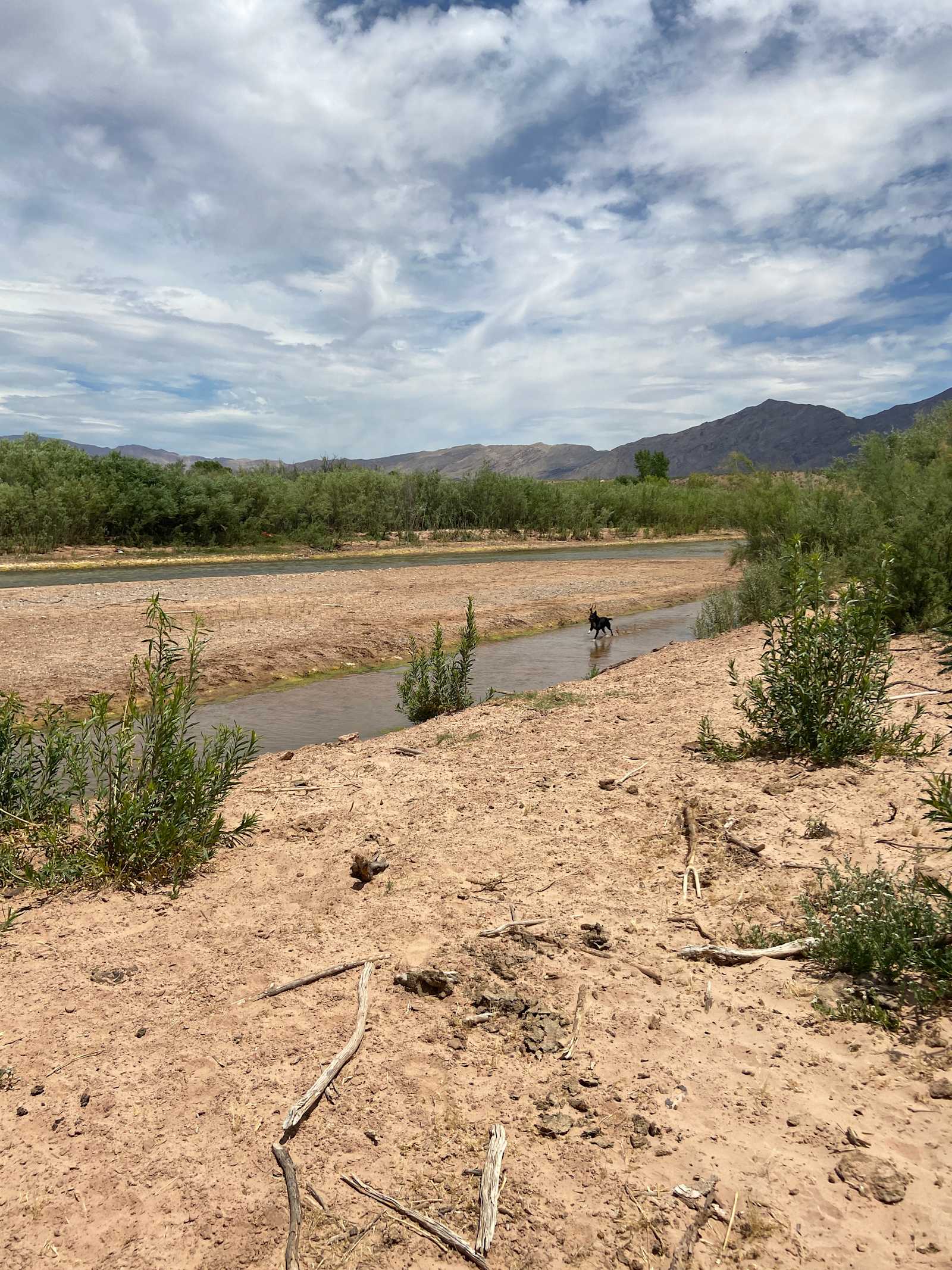 Little Jamaica Camping - Littlefield, Arizona - glamping.directory