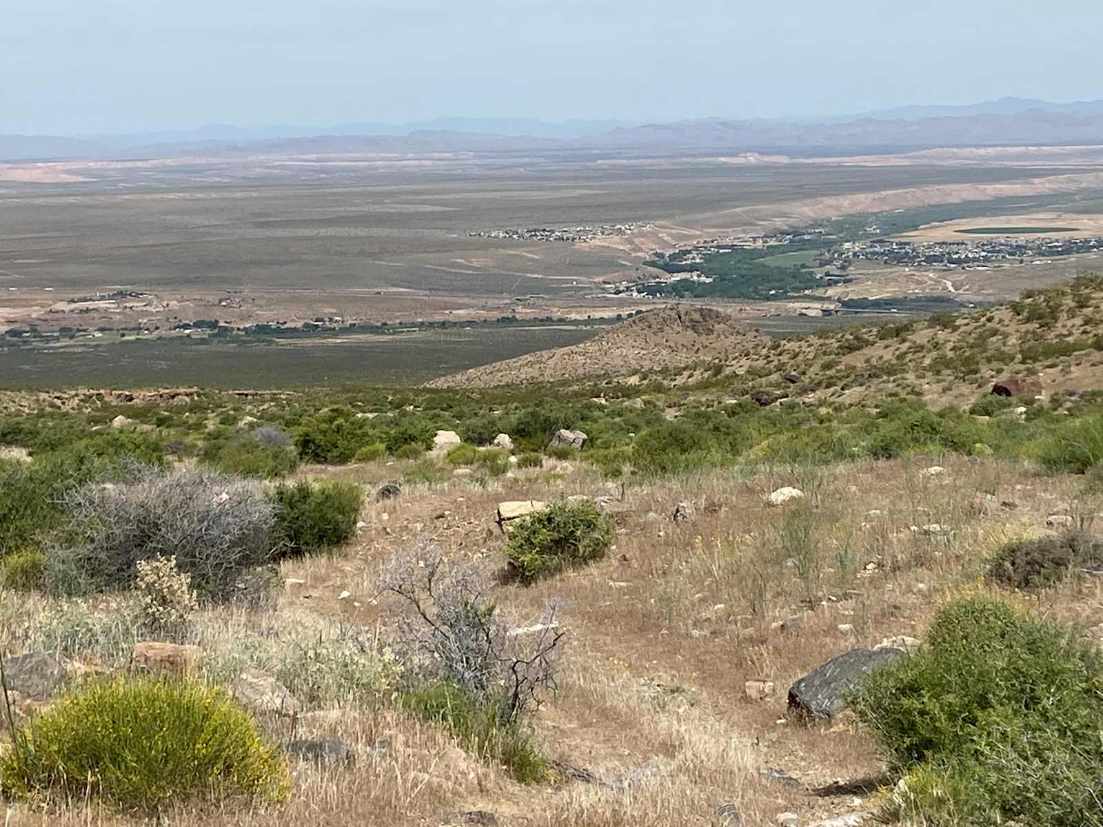 Little Jamaica Camping - Littlefield, Arizona - glamping.directory