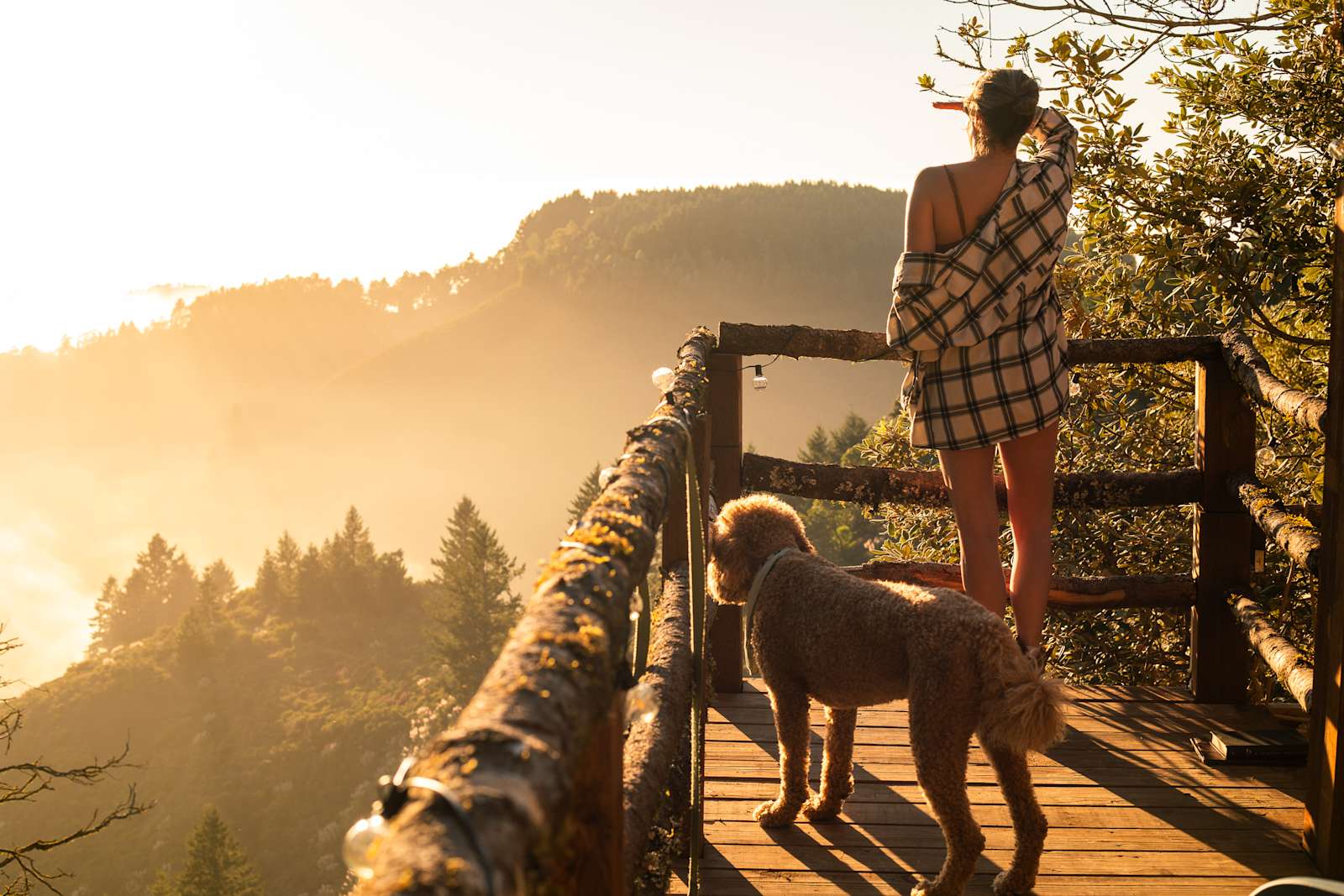 Kings Mountain Camp w/ ocean views - glamping.directory