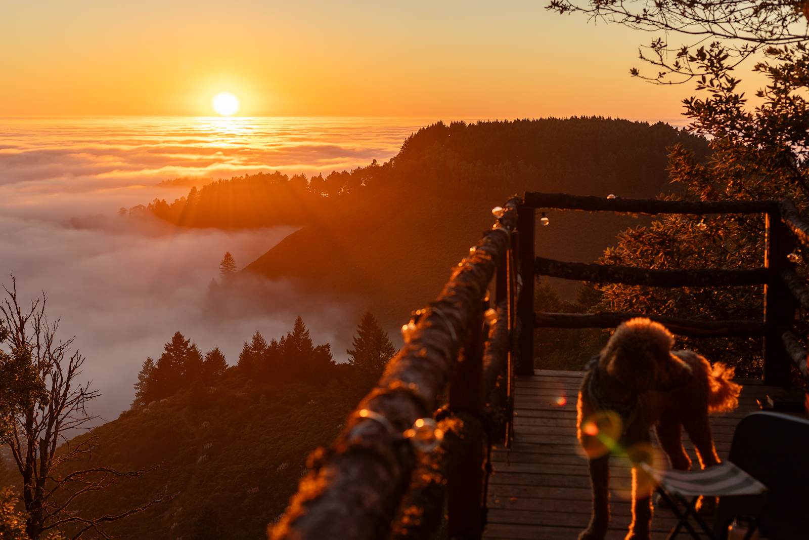 Kings Mountain Camp w/ ocean views - Woodside, California - glamping.directory