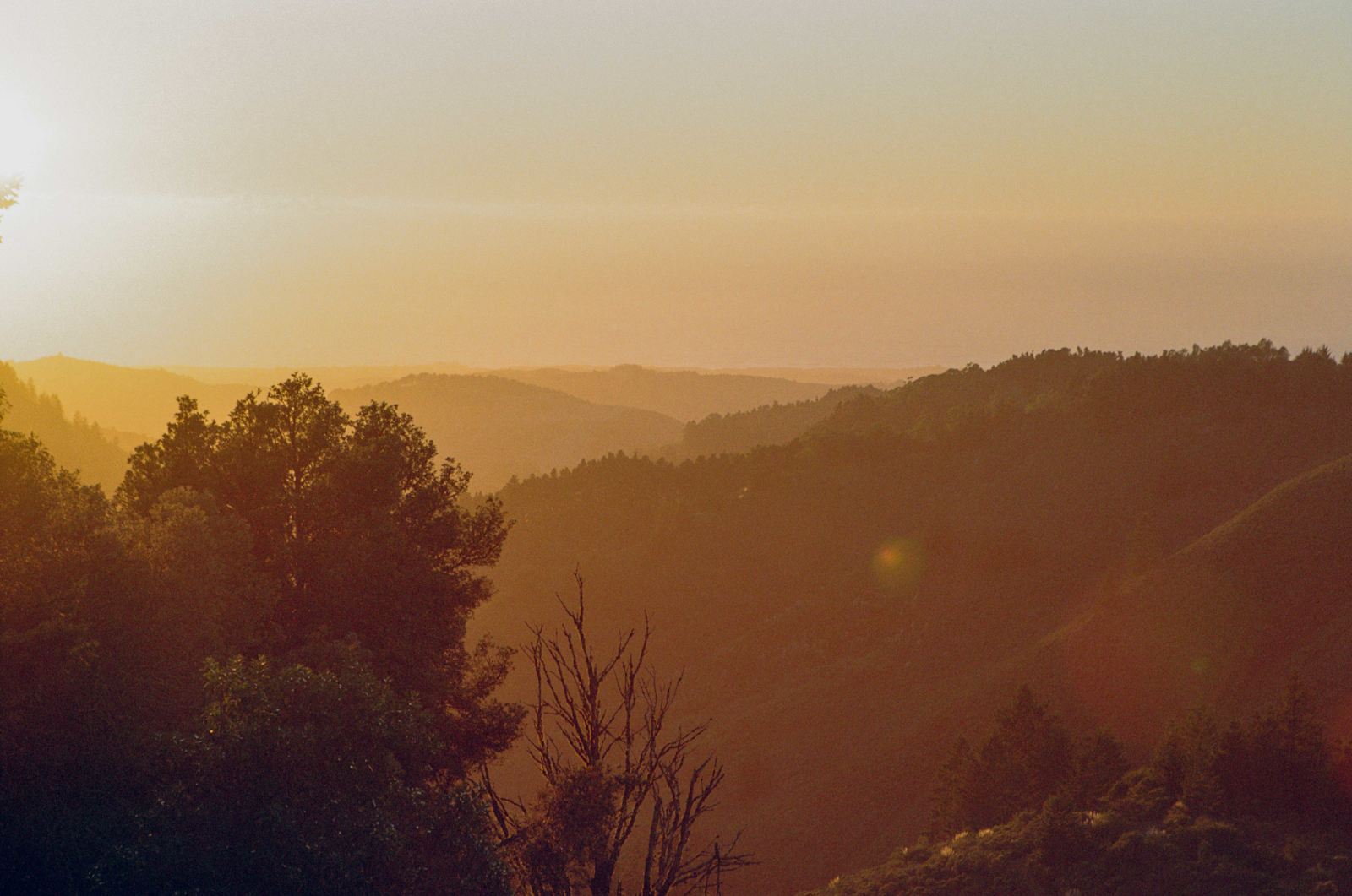 Kings Mountain Camp w/ ocean views - Woodside, California - glamping.directory