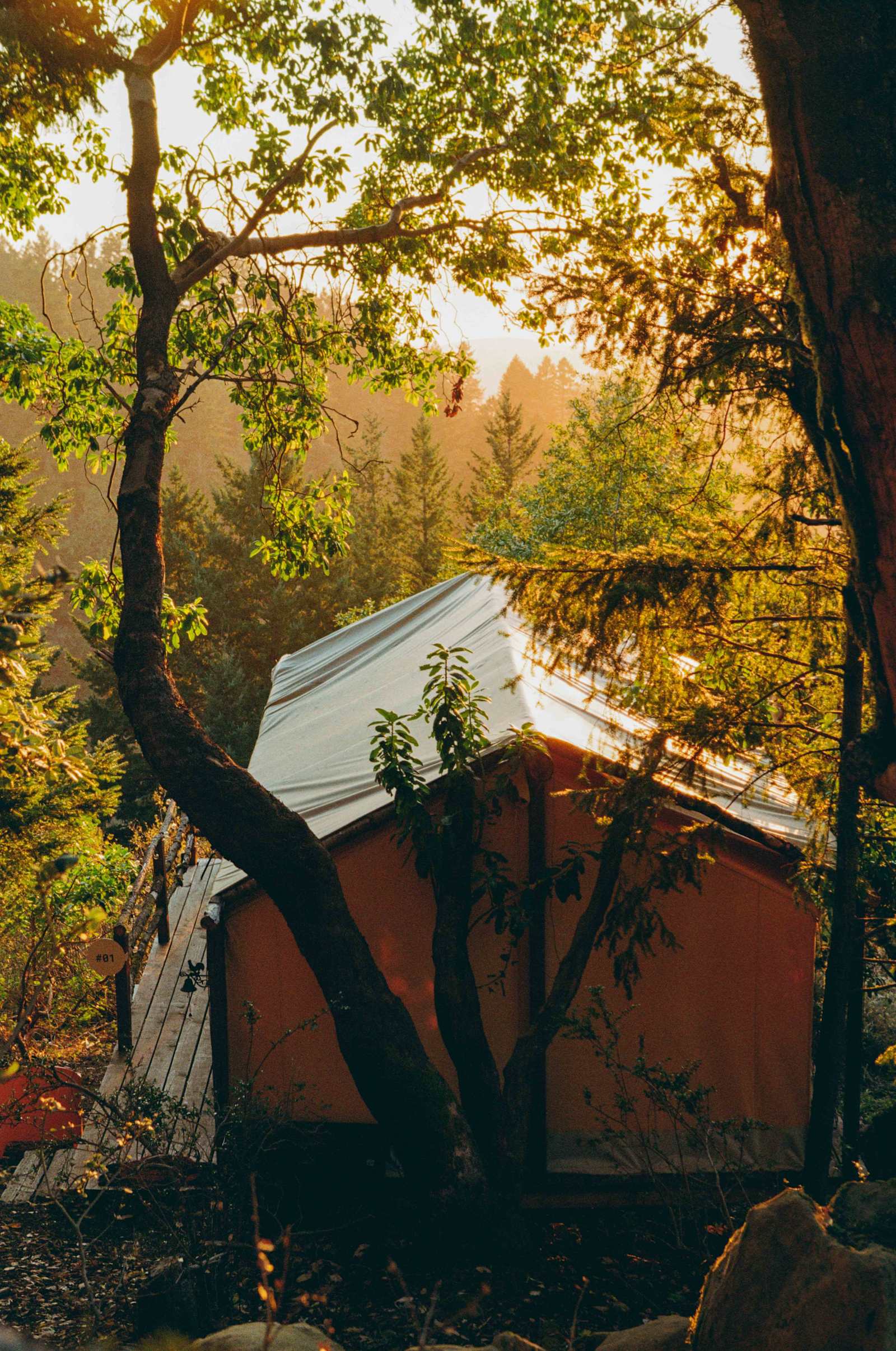 Kings Mountain Camp w/ ocean views - Woodside, California - glamping.directory