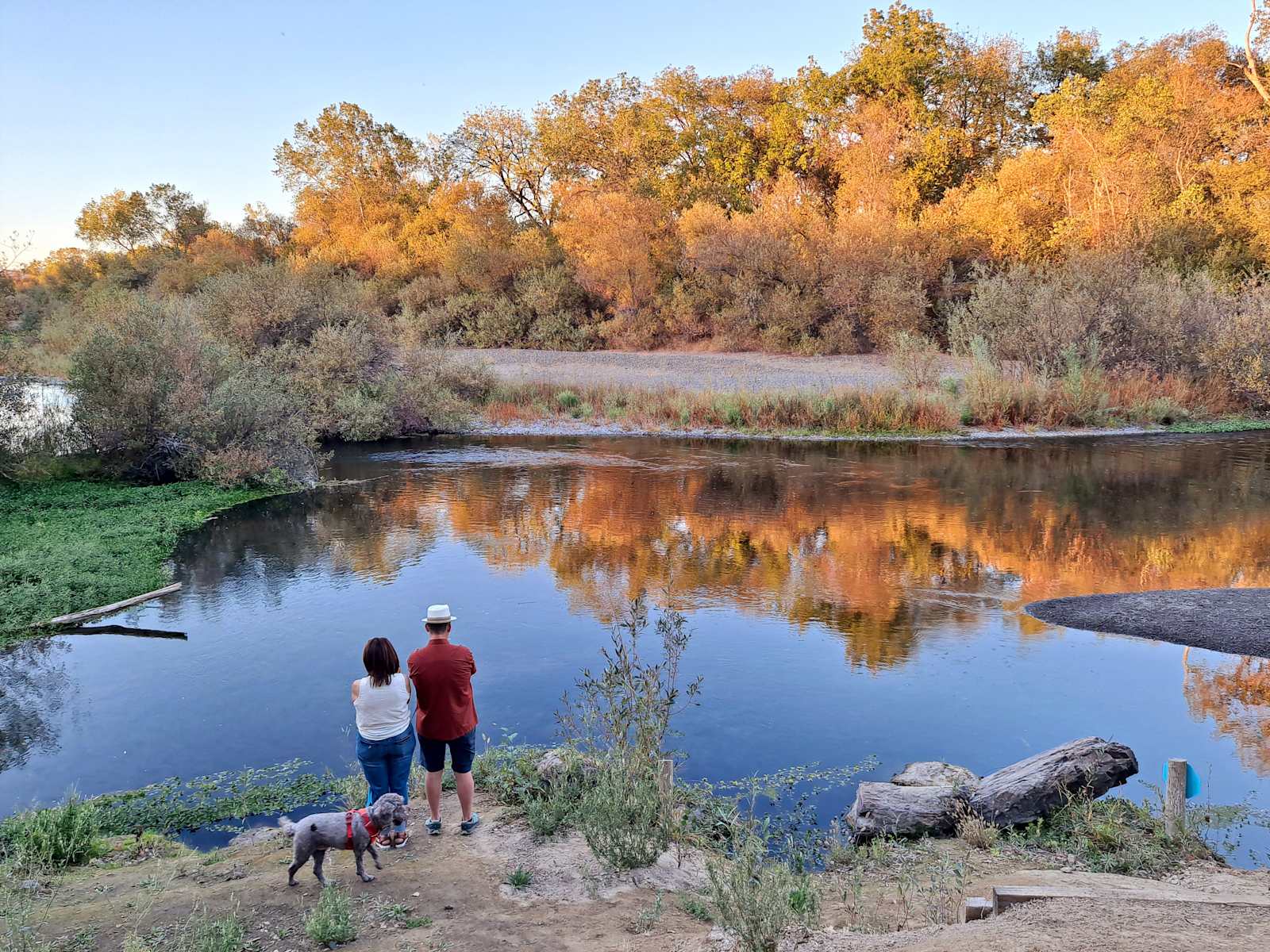 Wildhaven Sonoma Glamping - Healdsburg, California - glamping.directory