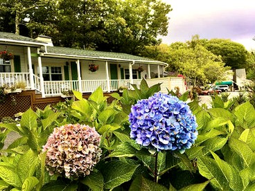 Sunny Room with a Private Deck in a Bed and Breakfast near Camden Hills State Park, Maine - Lincolnville, Maine - glamping.directory