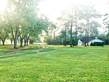 Magnificent Three-Bedroom Cottage Rental near Downtown Bainbridge, Georgia - Bainbridge, Georgia - glamping.directory