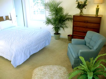 Magnificent Three-Bedroom Cottage Rental near Downtown Bainbridge, Georgia - Bainbridge, Georgia - glamping.directory