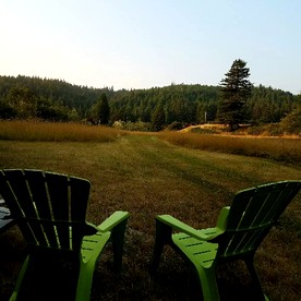 Cozy Campervan Rental on the Banks of the Elk River in Eureka, California - Eureka, California - glamping.directory