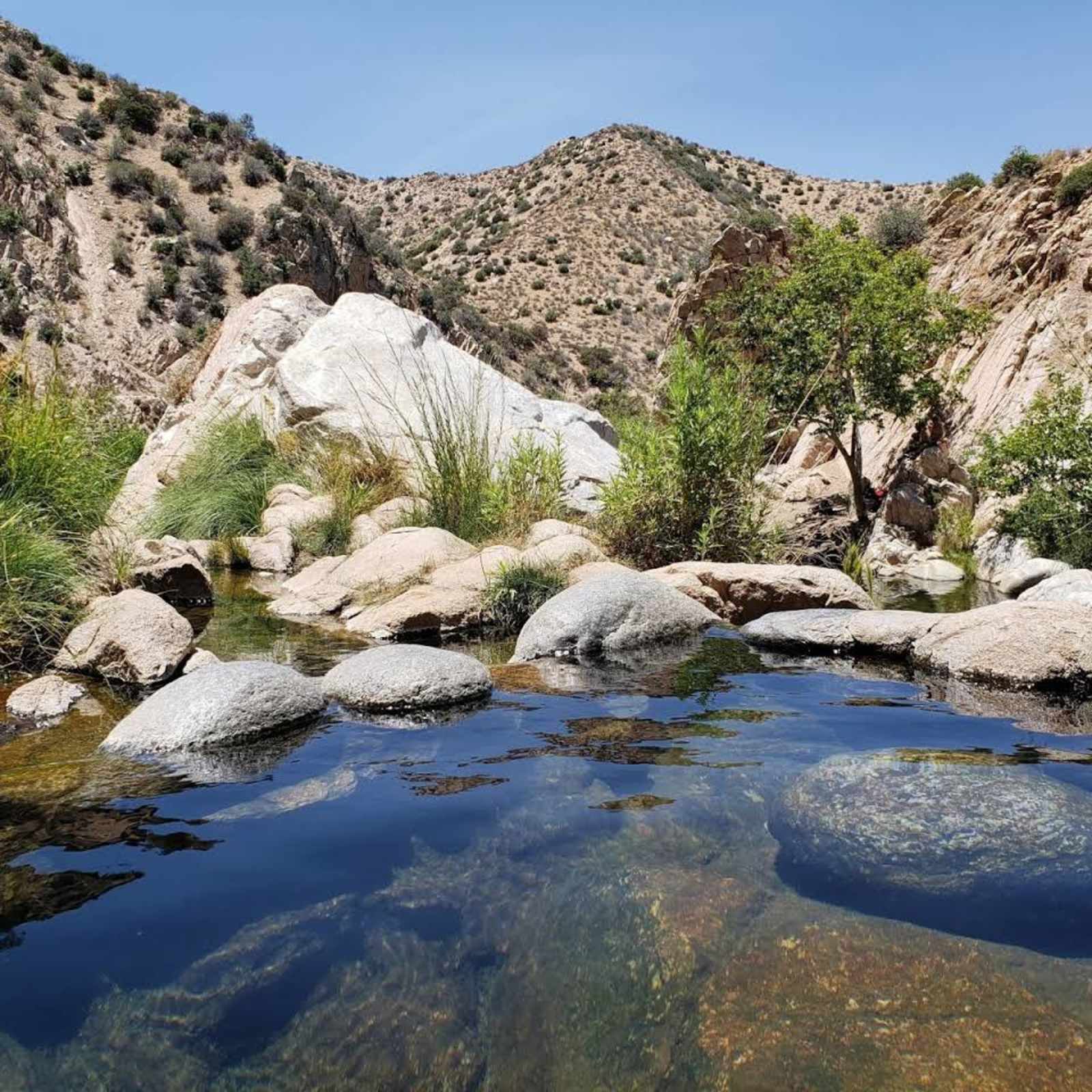Bowen Ranch Hot Spring Retreat - glamping.directory