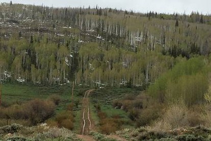 Luxury Mountain Getaway near Routt National Forest in Colorado - Walden, Colorado - glamping.directory