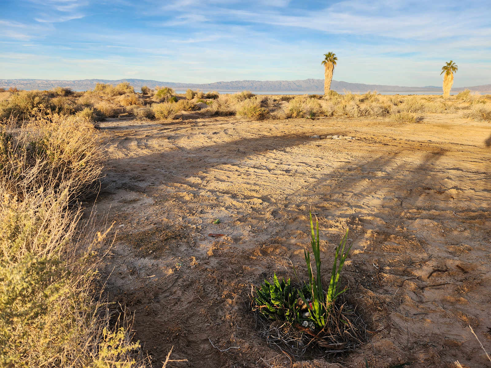 Salton Sea Sanctuary - Thermal, California - glamping.directory