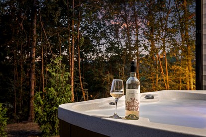 Spacious Vacation Homes with Private Hot Tubs near Chattanooga in Rossville, Georgia - Fairview, Georgia - glamping.directory