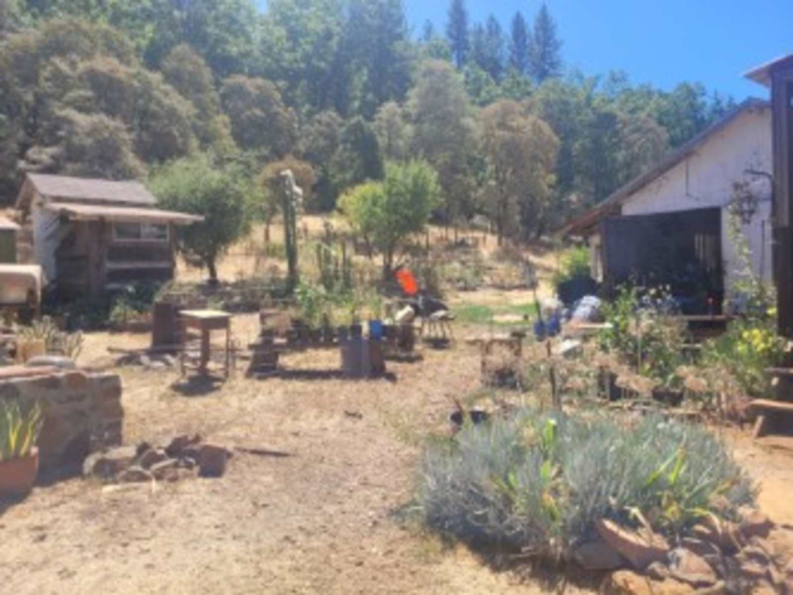 Off-Grid Mtn Getaway in the Pines - Brownsville, California - glamping.directory