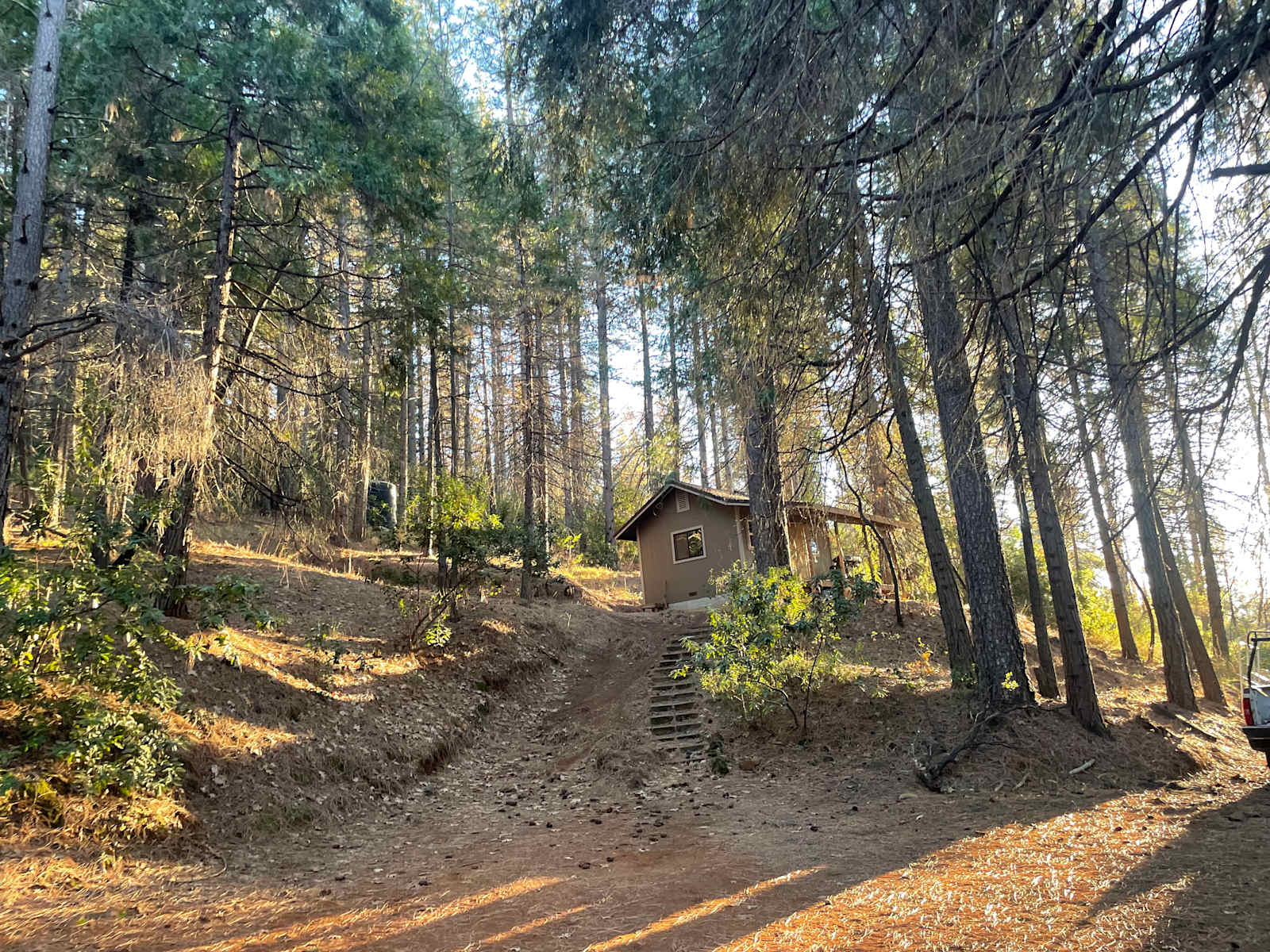 Off-Grid Mtn Getaway in the Pines - Brownsville, California - glamping.directory