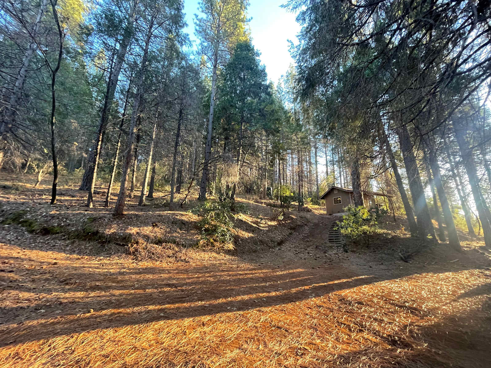 Off-Grid Mtn Getaway in the Pines - Brownsville, California - glamping.directory