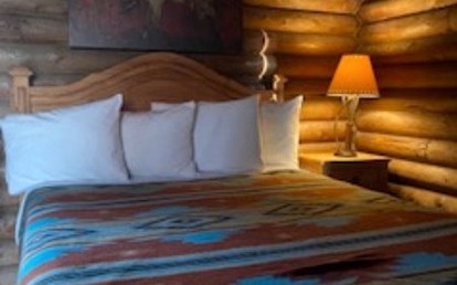 Sustainable and Pet-Friendly Cabin Perfect for Animal Lovers in Bluff Dale, TX - Bluff Dale, Texas - glamping.directory
