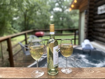 Sustainable and Pet-Friendly Cabin Perfect for Animal Lovers in Bluff Dale, TX - Bluff Dale, Texas - glamping.directory