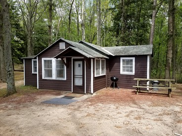 Charming Vacation Cabin with Waterfront Views on Pine Lake, Michigan - glamping.directory
