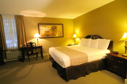 Beautiful Suite Rental in the Litchfield Hills of Connecticut near Mohawk Mountain - Lakeville, Connecticut - glamping.directory
