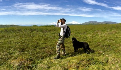 Off-The-Grid Cabins near Anchorage, Alaska - Talkeetna, Alaska - glamping.directory