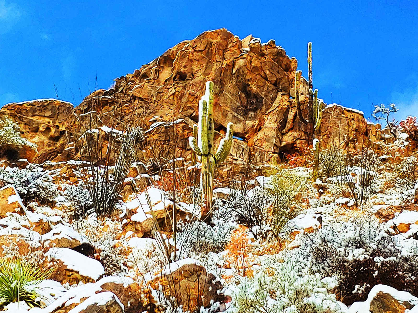 Epic Private 300 Acre Saguaro Park - Three Points, Arizona - glamping.directory