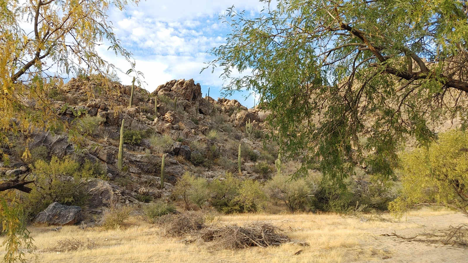 Epic Private 300 Acre Saguaro Park - Three Points, Arizona - glamping.directory