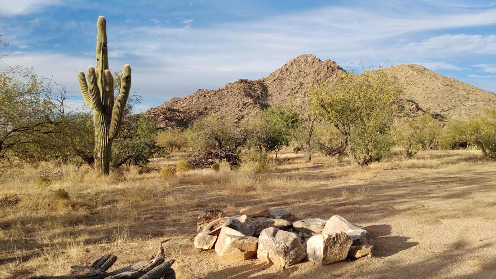 Epic Private 300 Acre Saguaro Park - Three Points, Arizona - glamping.directory